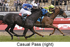 Casual Pass (17188 bytes)