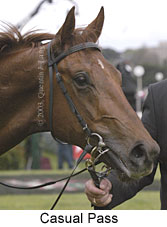 Casual Pass (11376 bytes)