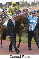 Casual Pass (15459 bytes)