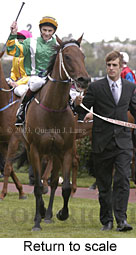 Return to scale (13717 bytes)