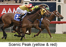 Scenic Peak (16947 bytes)