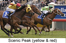 Scenic Peak (16838 bytes)