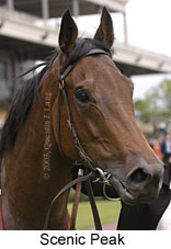 Scenic Peak (10984 bytes)