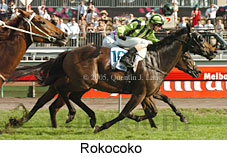 Rokocoko (18507 bytes)