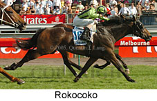 Rokocoko (18507 bytes)