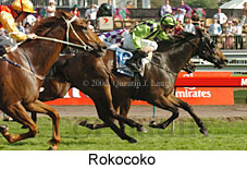 Rokocoko (18507 bytes)