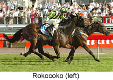 Rokocoko (18507 bytes)