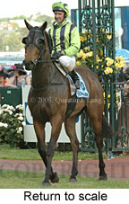 Return to scale (17769 bytes)