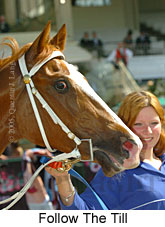 Follow The Till (18507 bytes)