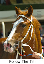 Follow The Till (18507 bytes)