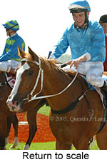 Return to scale (17769 bytes)