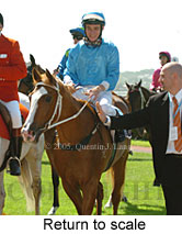 Return to scale (17769 bytes)