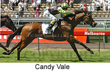 Candy Vale (18507 bytes)