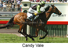 Candy Vale (18507 bytes)