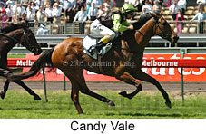 Candy Vale (18507 bytes)