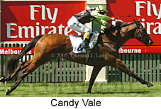 Candy Vale (18507 bytes)