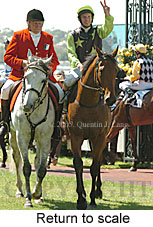 Return to scale (17769 bytes)