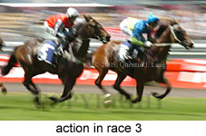 action (18507 bytes)