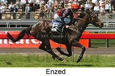 Enzed (18507 bytes)