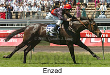 Enzed (18507 bytes)