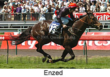 Enzed (18507 bytes)