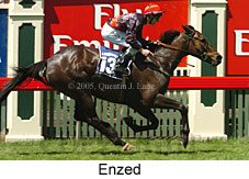 Enzed (18507 bytes)