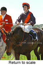 Return to scale (17769 bytes)