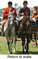 Return to scale (17769 bytes)