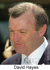 David Hayes (18507 bytes)