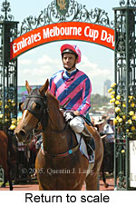 Return to scale (17769 bytes)