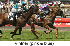 Vintner (18507 bytes)