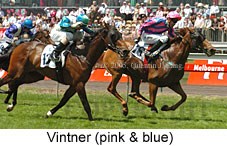 Vintner (18507 bytes)