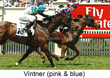 Vintner (18507 bytes)