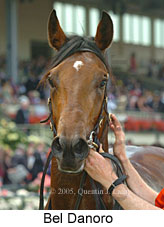 Bel Danoro (18507 bytes)