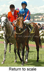 Return to scale (17769 bytes)