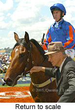 Return to scale (17769 bytes)