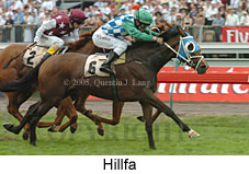 Hillfa (18507 bytes)