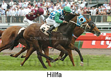 Hillfa (18507 bytes)