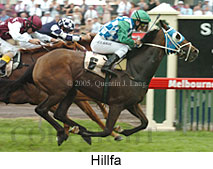 Hillfa (18507 bytes)