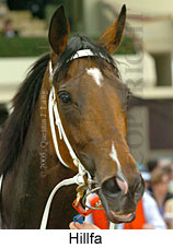 Hillfa (18507 bytes)