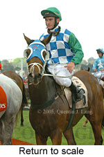 Return to scale (17769 bytes)