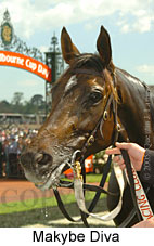 Makybe Diva (18507 bytes)