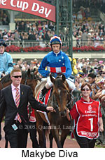 Makybe Diva (18507 bytes)