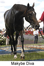 Makybe Diva (18507 bytes)
