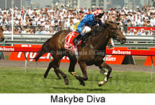 Makybe Diva (18507 bytes)