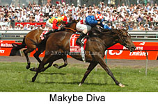 Makybe Diva (18507 bytes)
