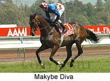Makybe Diva (18507 bytes)