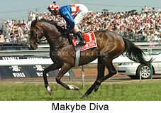 Makybe Diva (18507 bytes)