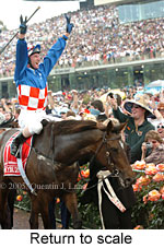 Return to scale (17769 bytes)