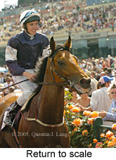 Return to scale (17769 bytes)